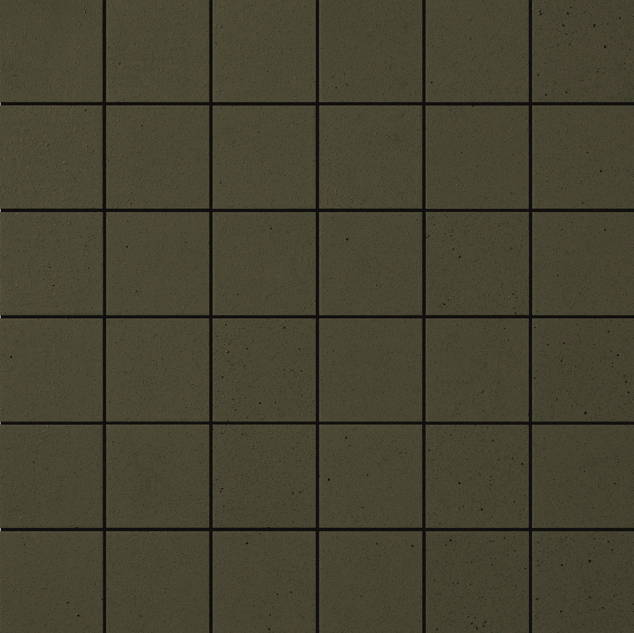 5596.jpg
