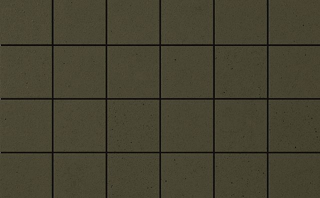 5596.jpg