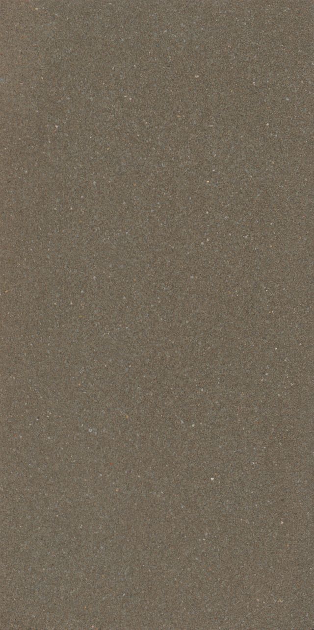 CementoSkin® 570.jpg