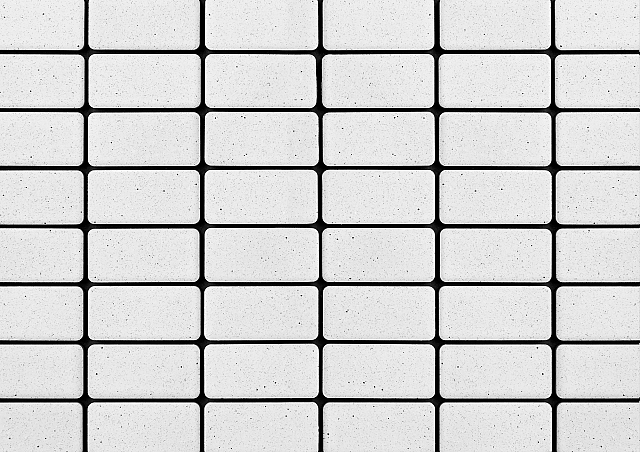 3812.jpg