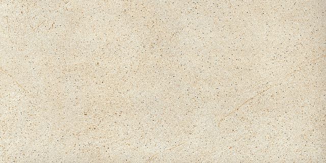Coastland Beige Natural.jpg
