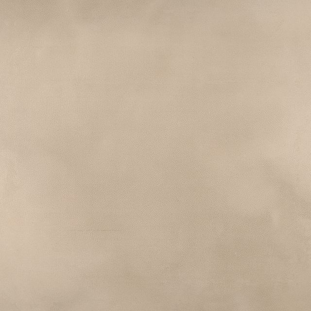 Trax Soft Camel by DB Studio swatch image