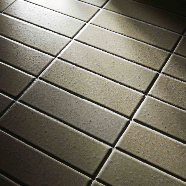 Close Up.jpg