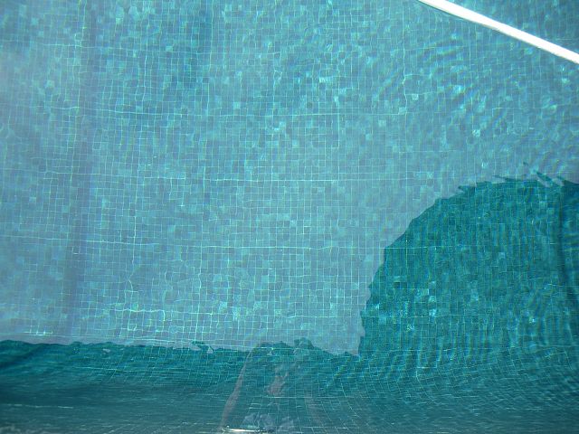 Vixel N.01 Swimming Pool.jpg