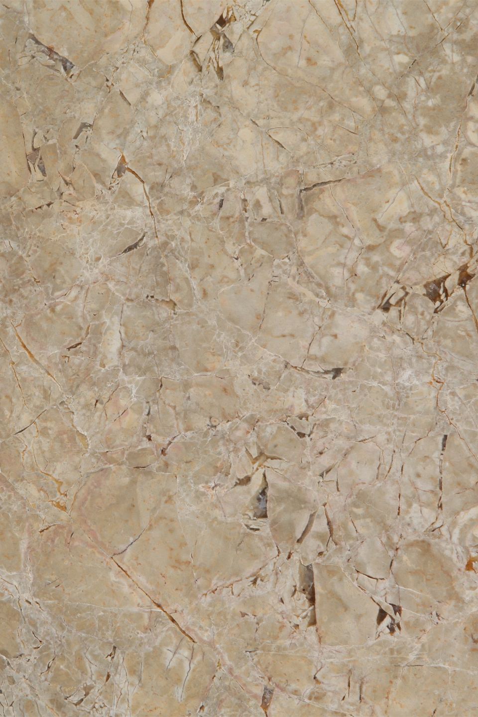 Breccia Giallo.jpg