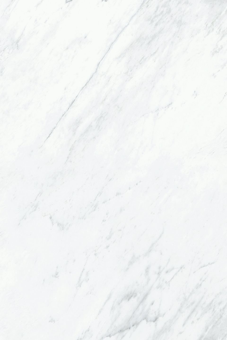 MXM Michelangelo VM Panel A.jpg